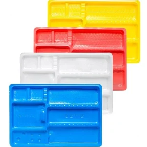 Disposable tray-2